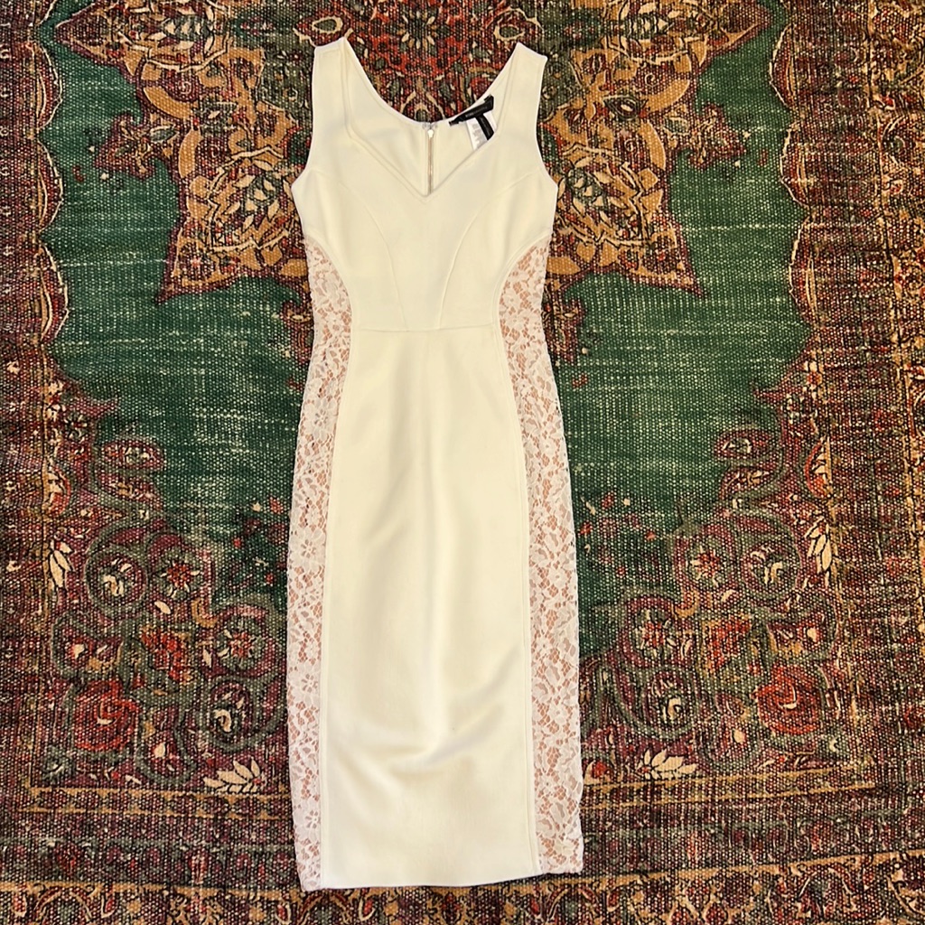 Bcbgmaxazria Bodycon Dress Nwt